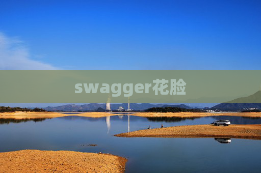 swagger花脸